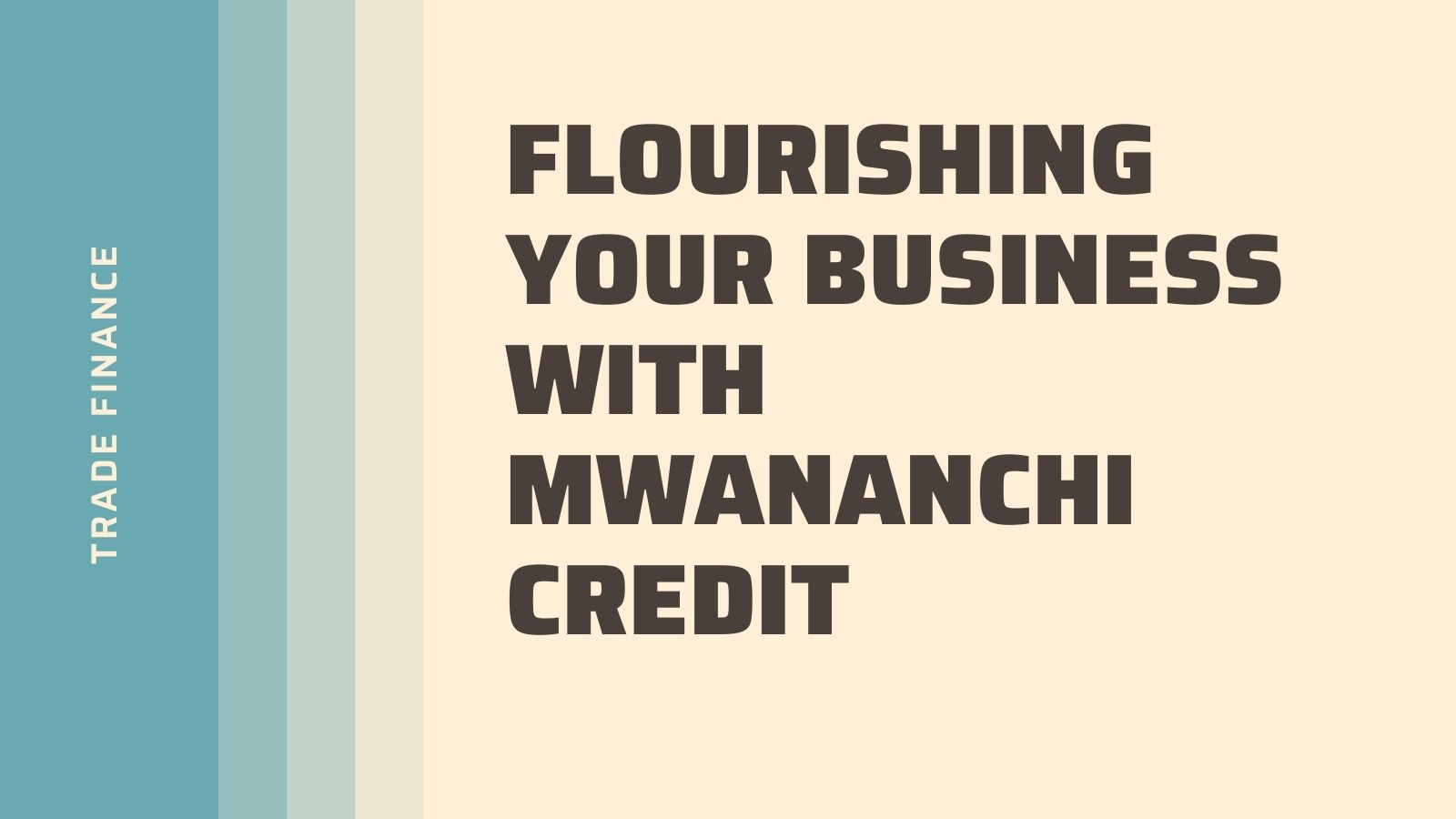 Trade Finance: Flourishing Your Business With Mwananchi Credit