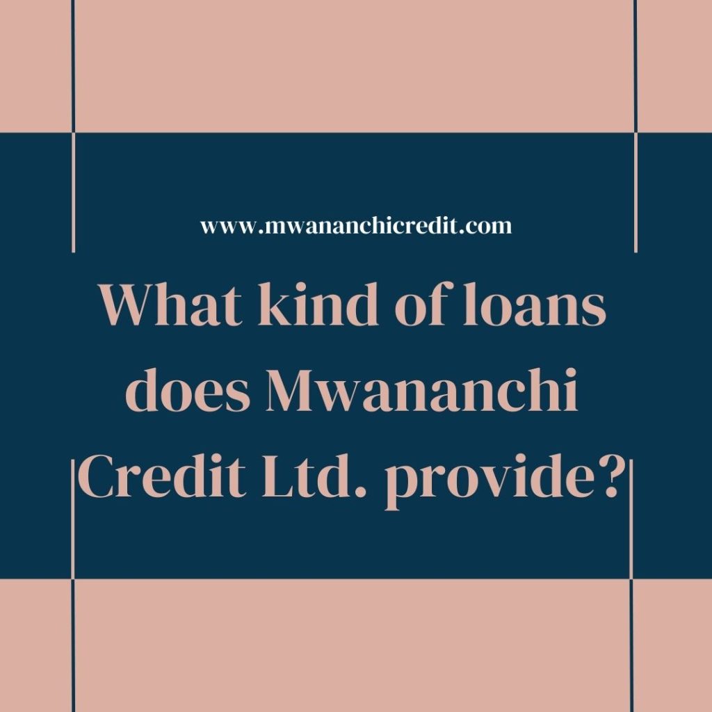 What Kind Of Loans Does Mwananchi Credit Ltd