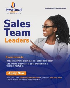 Sales Team Leaders